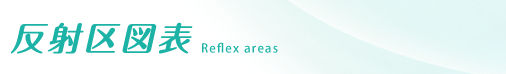 反射区図表　Reflex areas