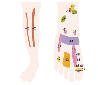 足の甲・ふくらはぎ